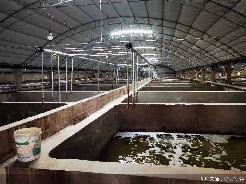 图片来源:企业提供