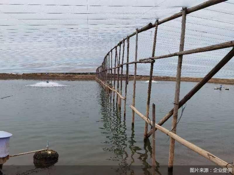 图片来源:企业提供